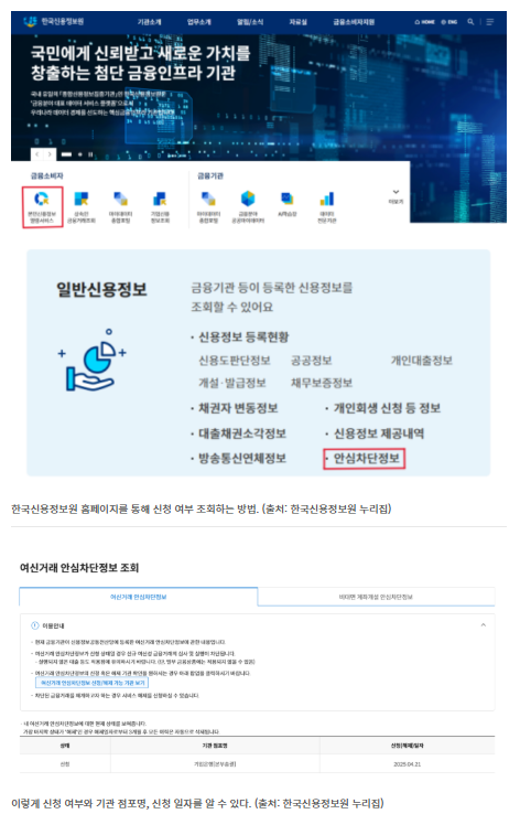 한국신용정보원에서 신청 내역 확인 화면