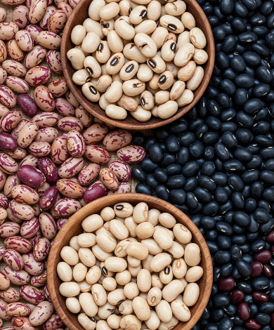 자주 묻는 질문 Q&A