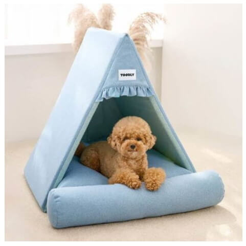 2024 크리스마스 서울 펫쇼 사전등록 입장료 주차 안내