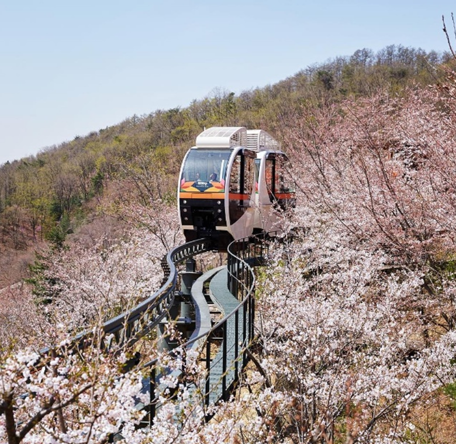 화담숲 모노레일