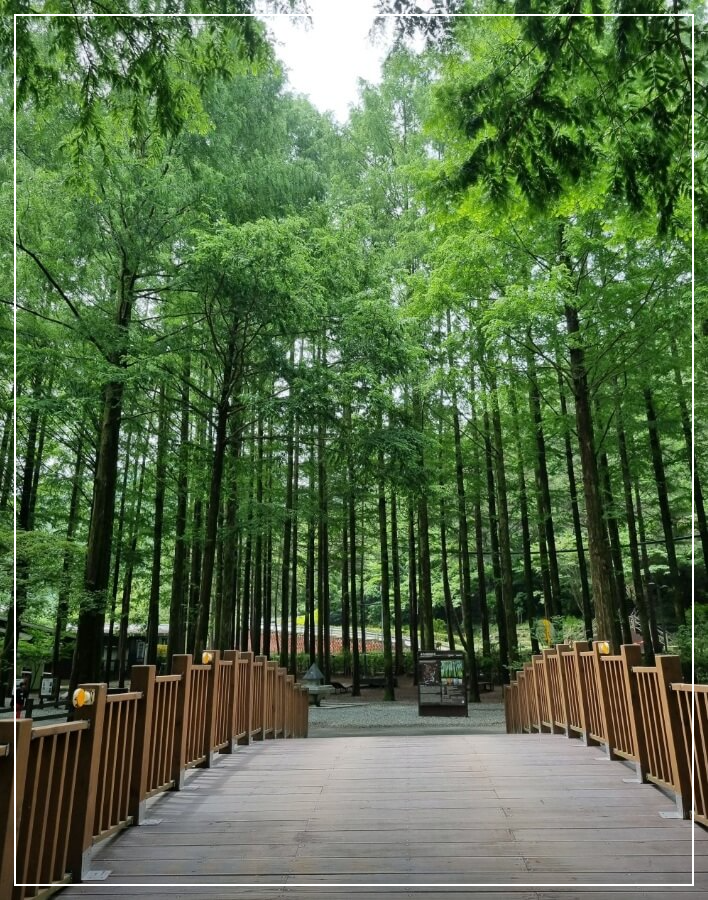 대전 가볼만한곳 베스트10 장태산 자연휴양림