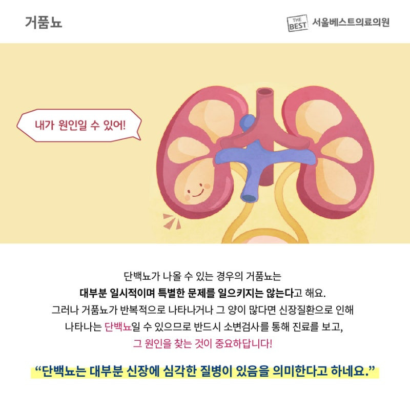 단백뇨란? / 출처 - 네이버블로그[내과전문의 이 걸]