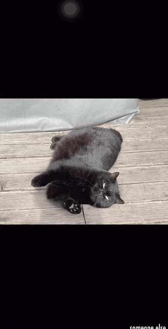 아이폰 사진 앨범에서 사진 정보 확인하기