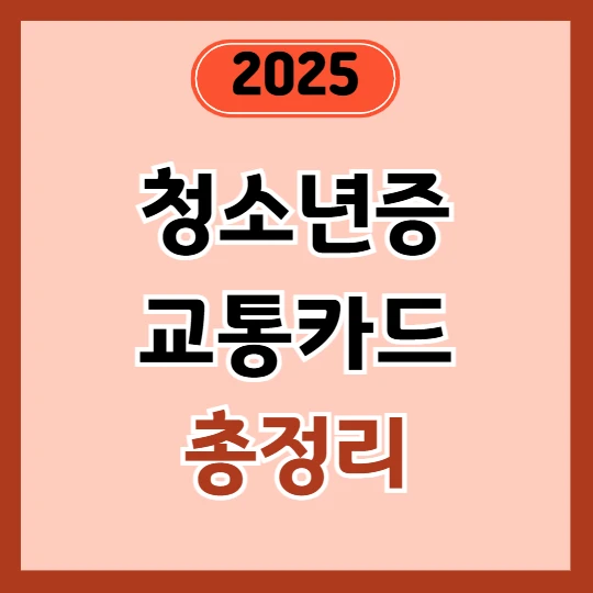 청소년증 교통카드 신청 방법과 할인 등록까지 총정리 2025