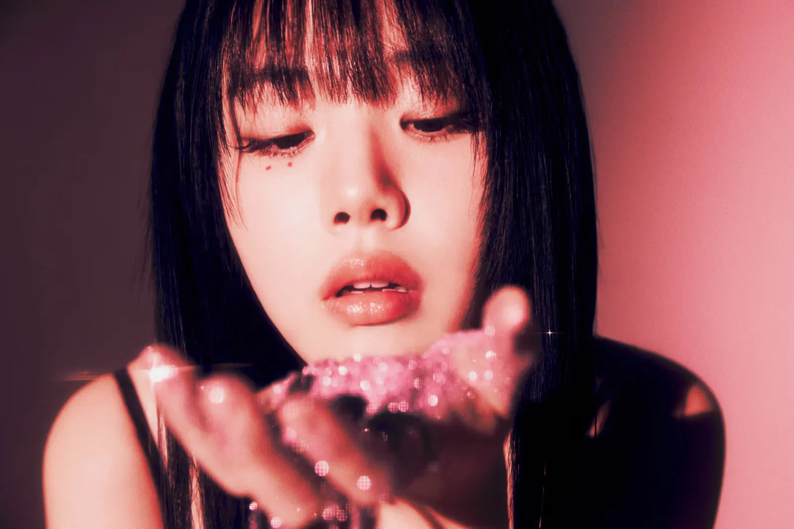 몽픽 바로가기