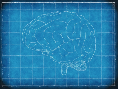 뇌 속 전기 신호와 생각의 상관관계