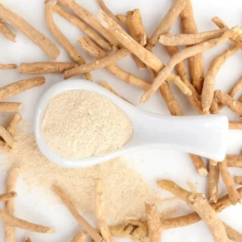 아슈와간다분말과 뿌리