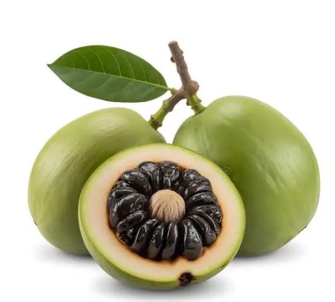 루쿠마 관련 사진