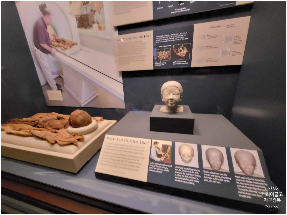 워싱턴 스미스소니언 국립 자연사 박물관