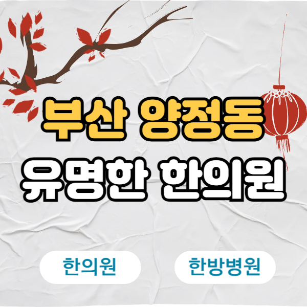 부산진구 양정동 한의원 추천 TOP5 양심 한의원 유명한 곳