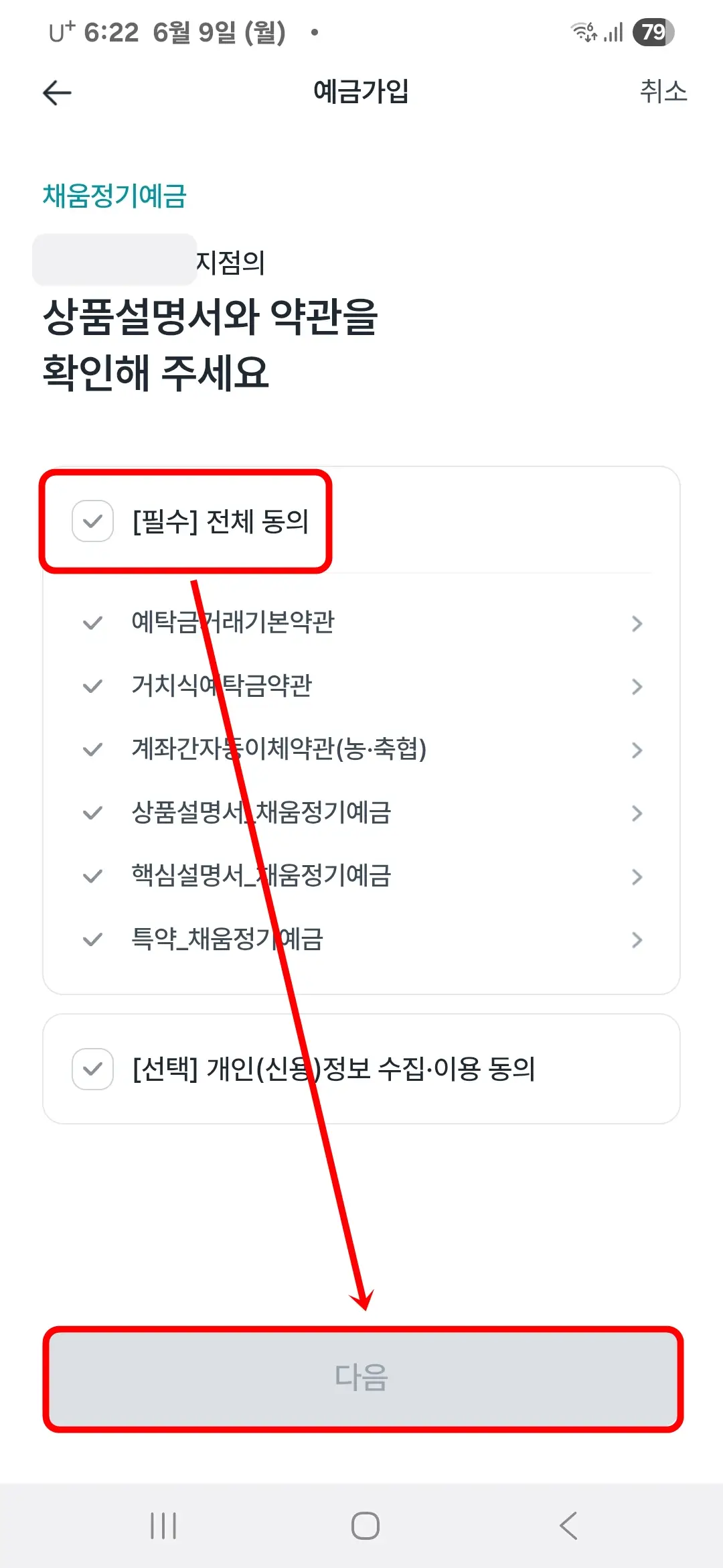 약관 전체 동의