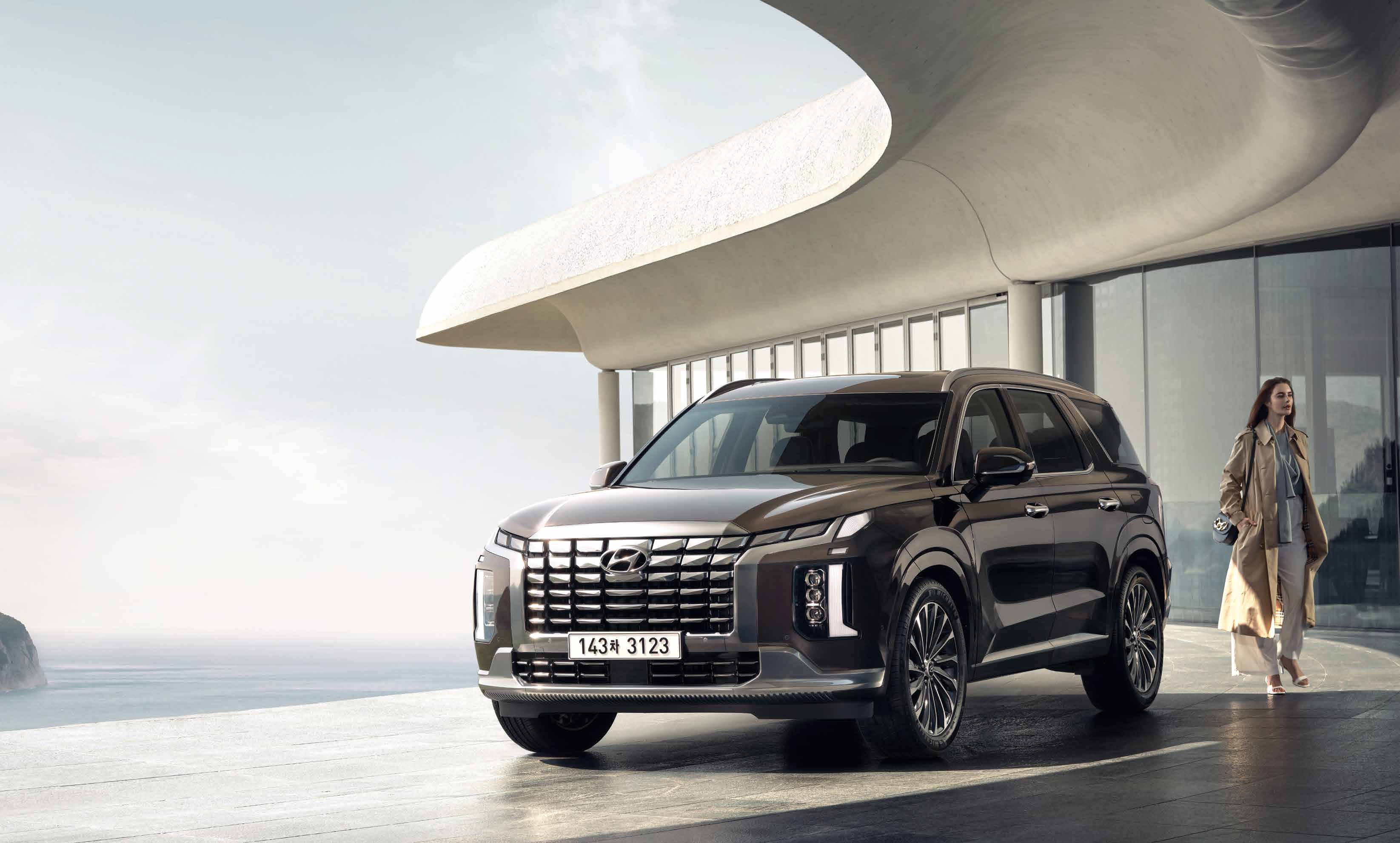 팰리세이드 중고차