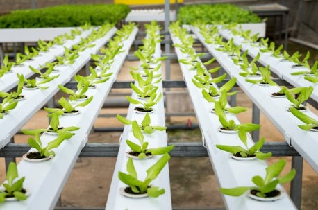 공익직불금 신청방법