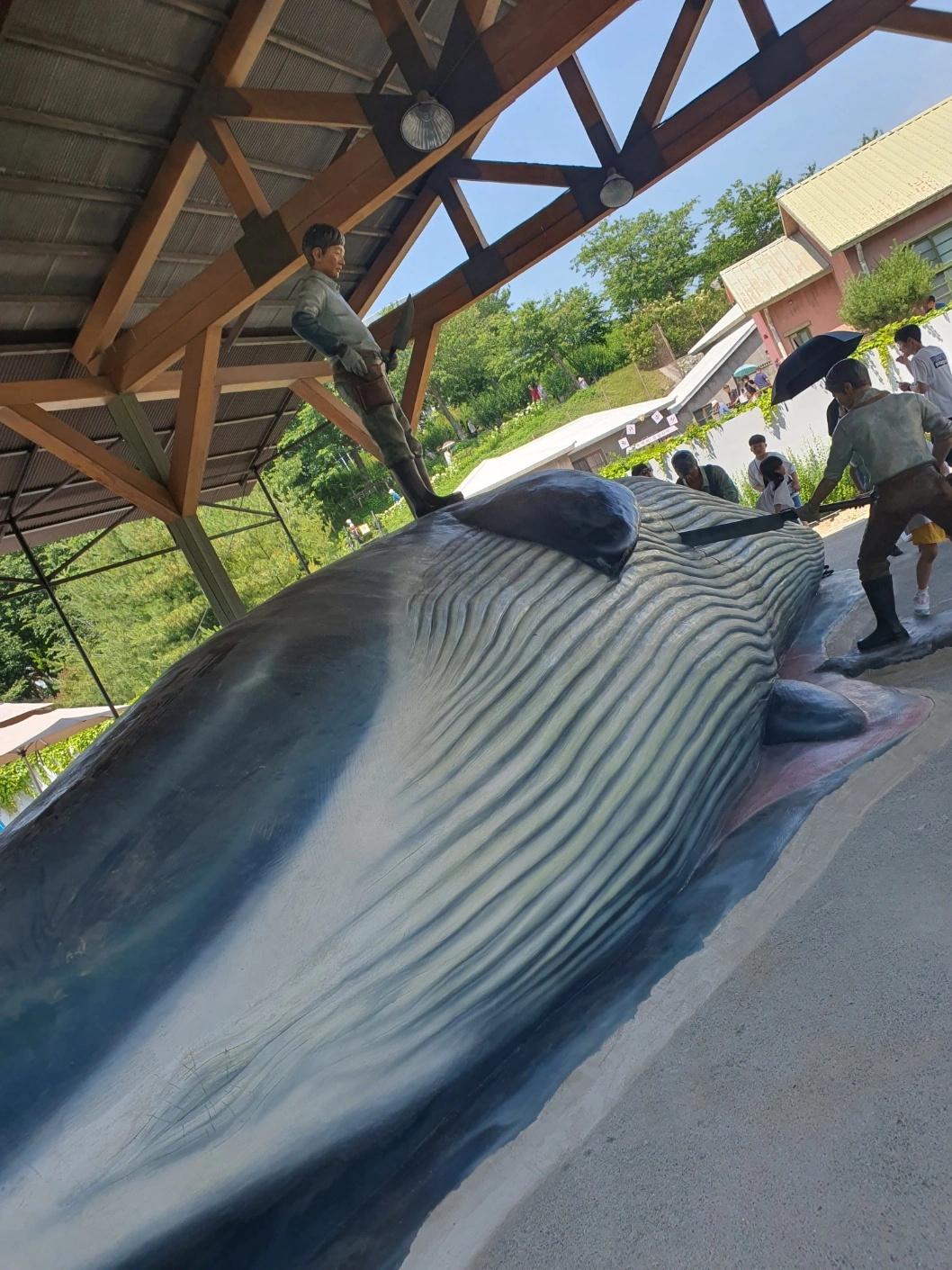 장생포 수국축제에서 여름을 만끽하다! 울산 고래문화마을 수국 명소 추천