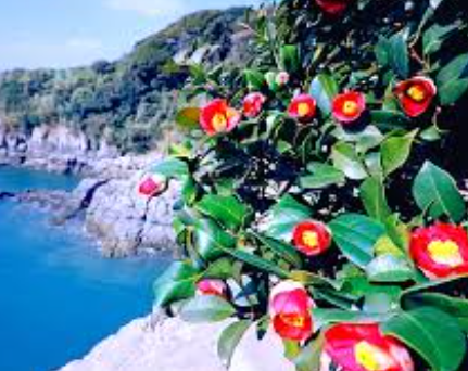 5월 여행지 추천