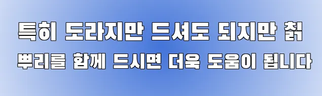  특히 도라지만 드셔도 되지만 칡 뿌리를 함께 드시면 더욱 도움이 됩니다