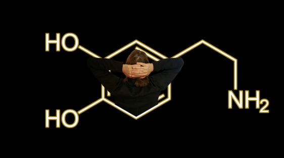 도파민뱅크란 무엇인가?