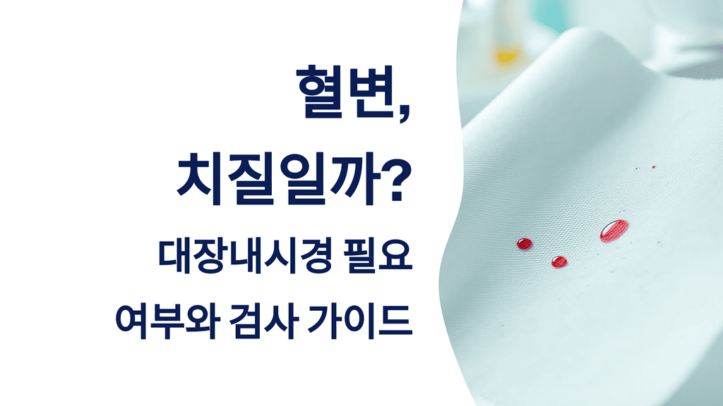 혈변,&nbsp;치질일까?&nbsp;대장내시경&nbsp;필요&nbsp;여부와&nbsp;검사&nbsp;가이드