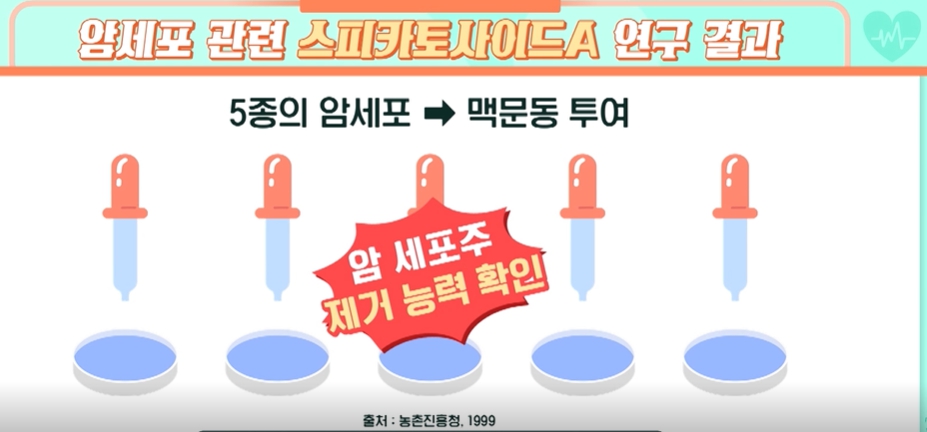 맥문동 효능