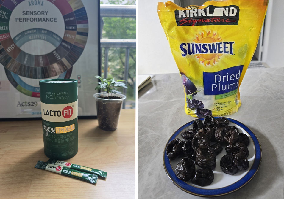 유산균과 푸룬