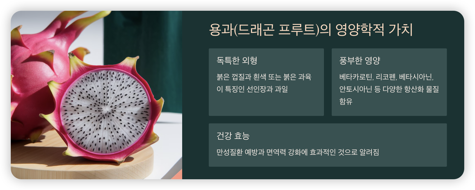 용과-영양학적-가치