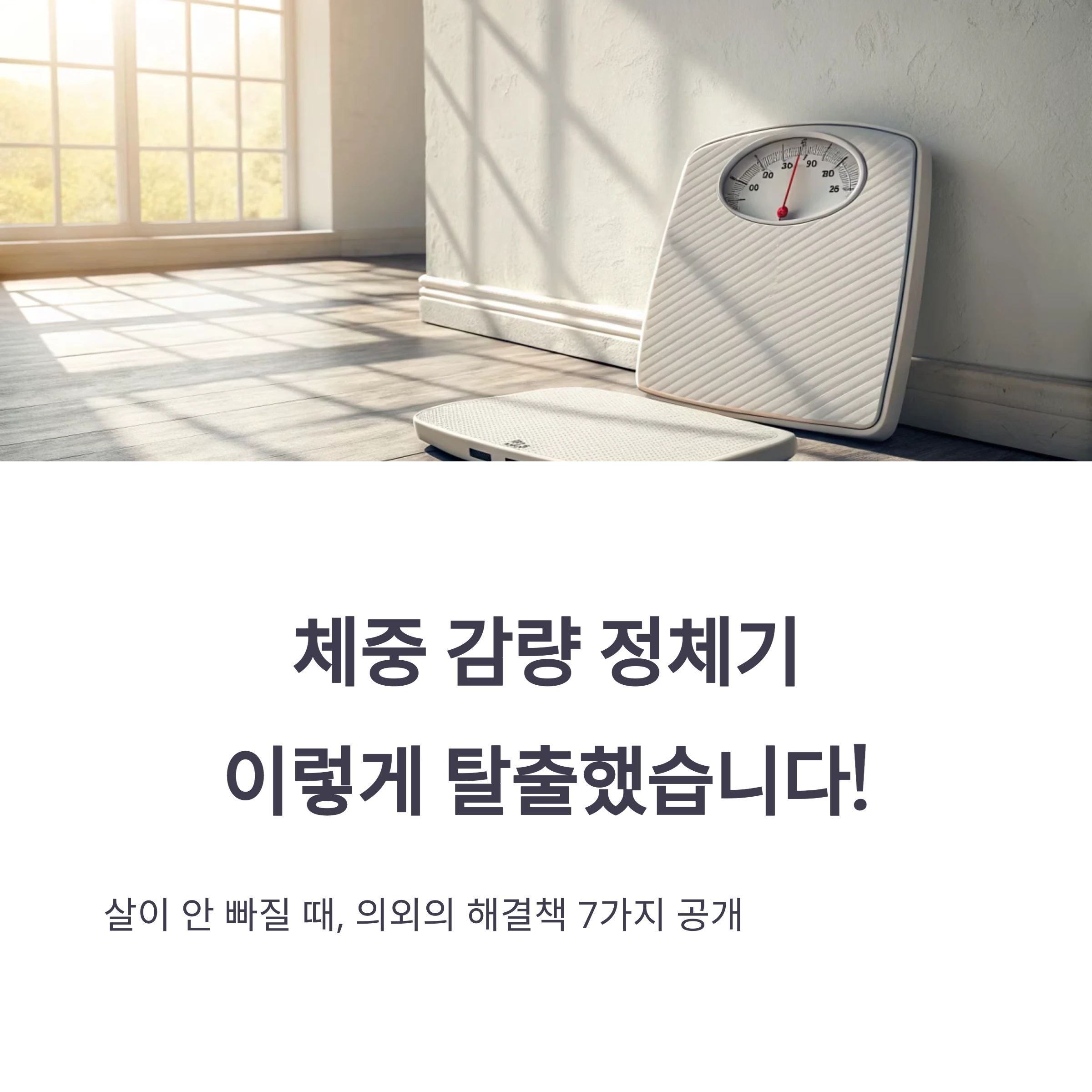 체중감량정체기