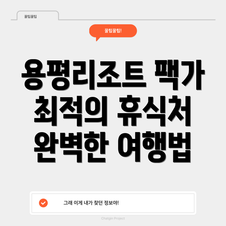 용평리조트 패키지