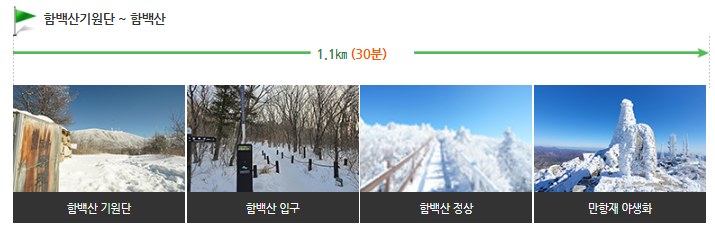 태백산 가장 쉬운 산행코스, 함백사 코스3