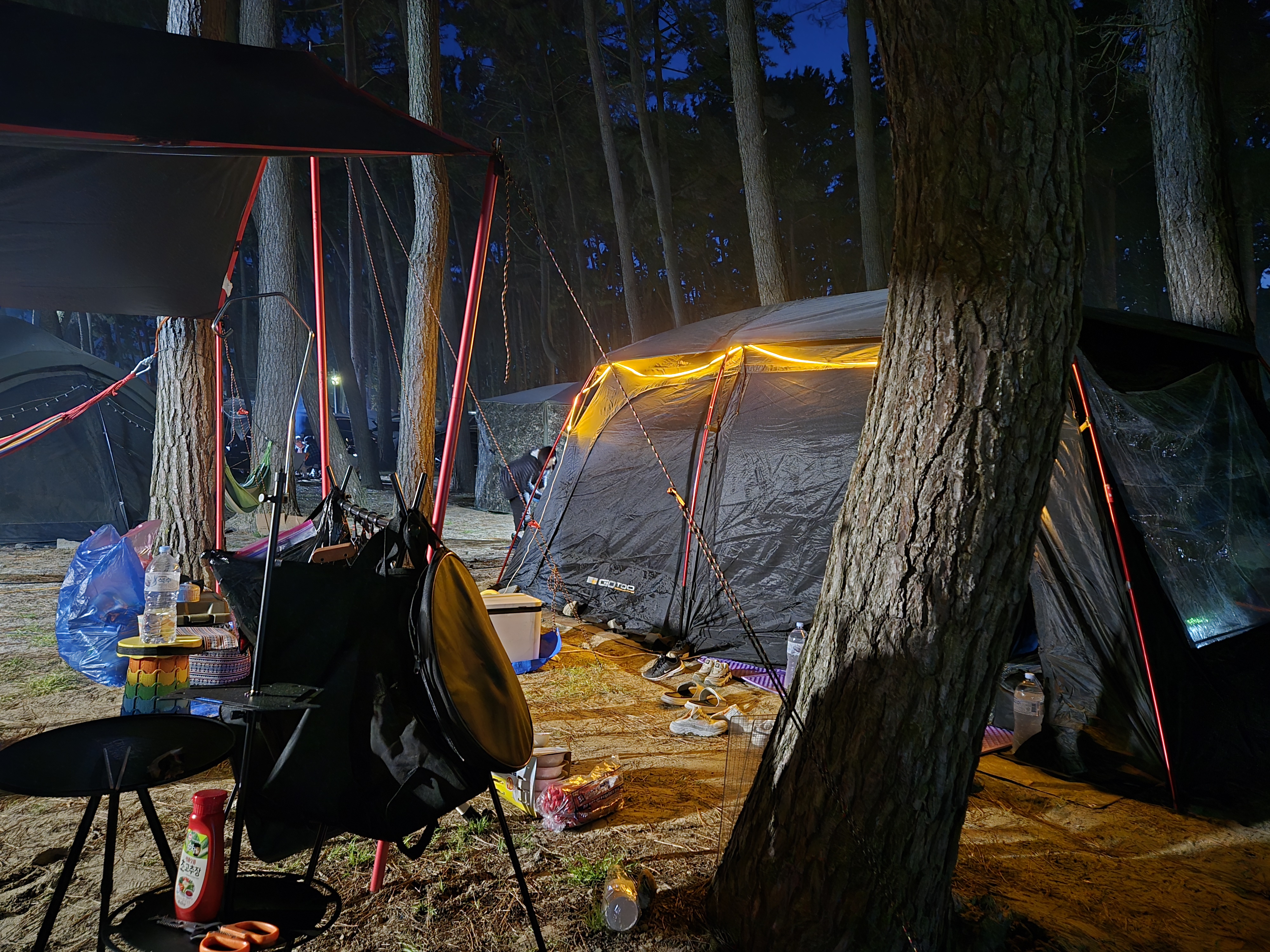 서천솔내음야영장