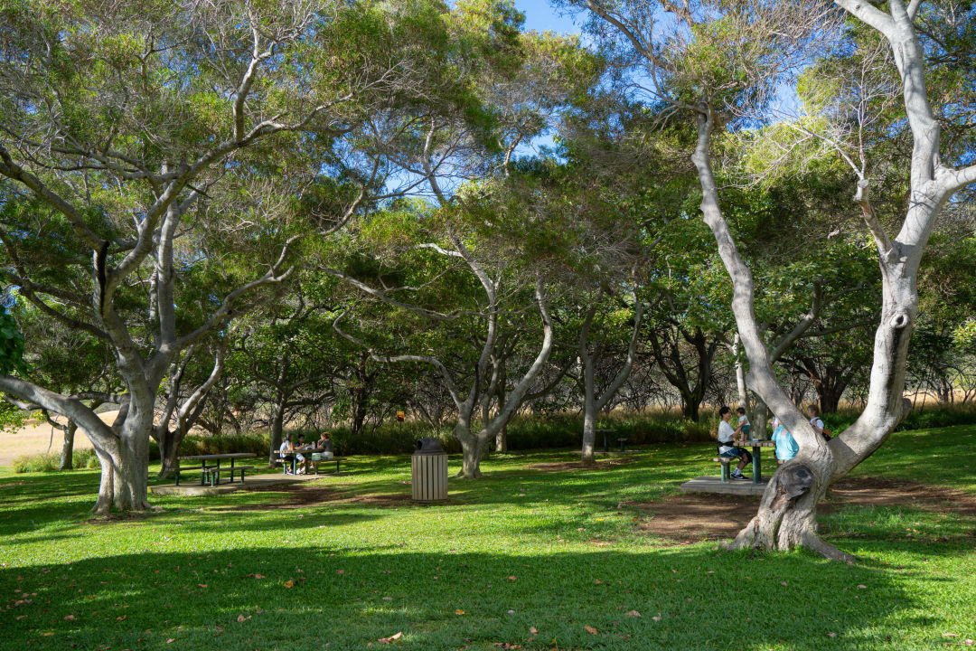 하와이 다이아몬드 헤드 올라가는길