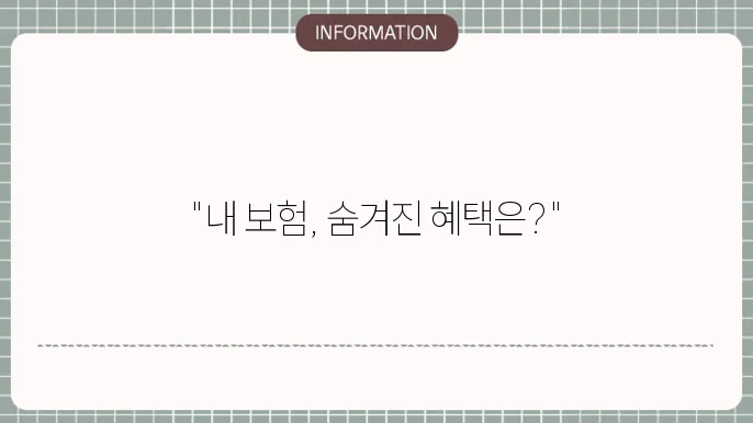 보험 가입 확인 시 주의할 점
