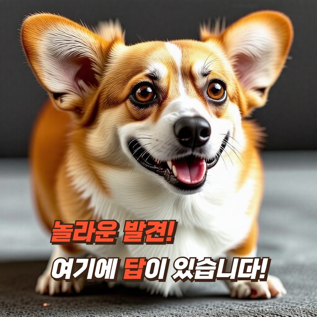 강아지-수명