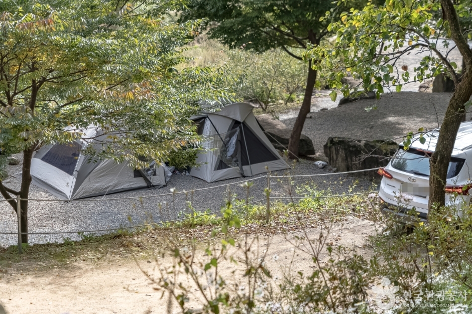 강원도 삼척시 두메 관광 농원 바로가기