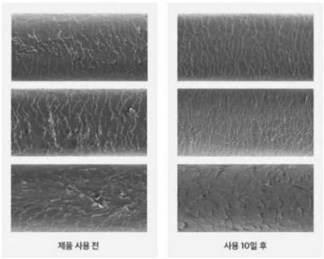 바이오틴-탈모샴푸-판매1위-효능