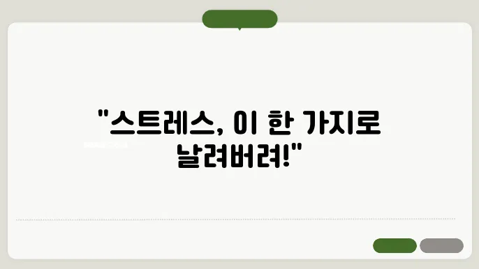 스트레스 받을 때 이거 안 하면 진짜 뇌 작살남