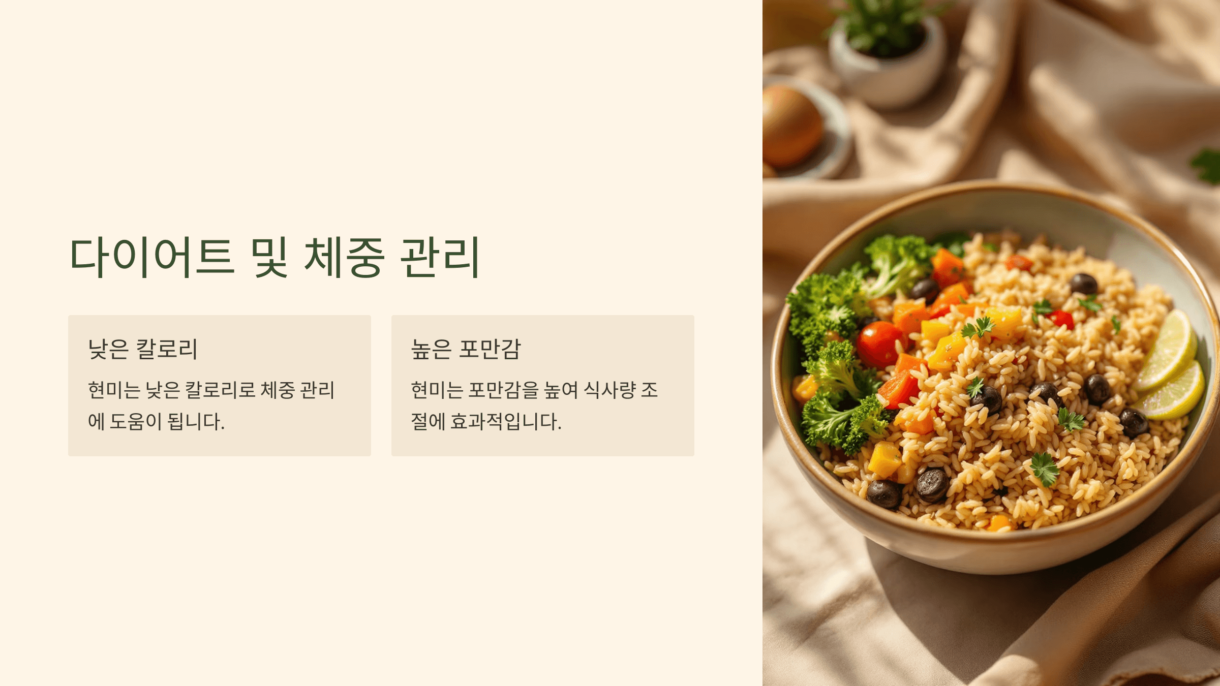 현미 사진입니다.