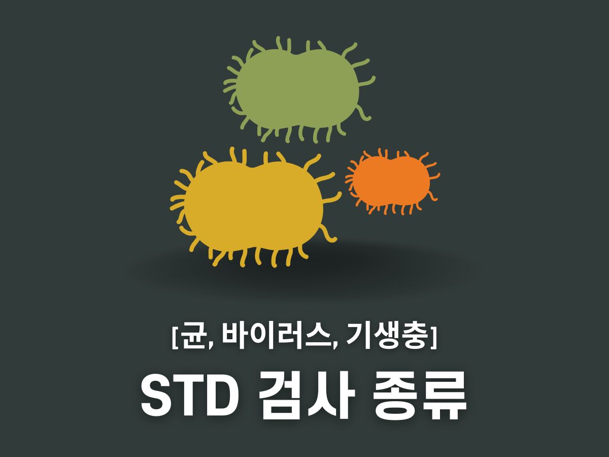 std 12종 검사