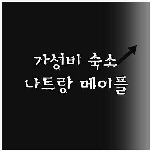 나트랑 메이플 리프 호텔 & 아파트먼..