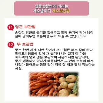 저장 채소 관리 감자 고구마 마늘 양파 배추 무 김장 준비_2