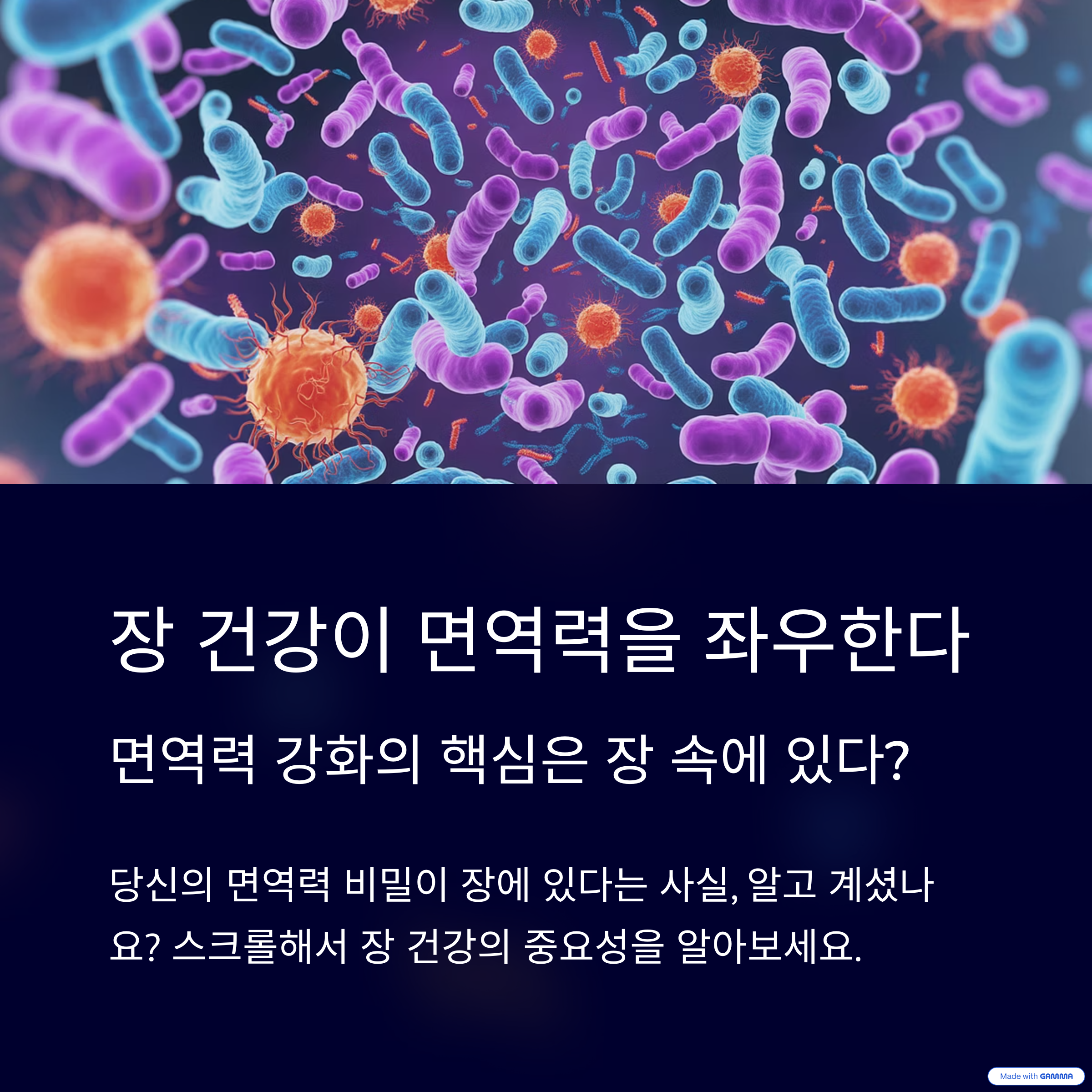 장 건강이 면역력을 좌우한다