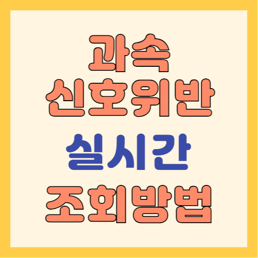 과속단속-신호위반단속-실시간조회방법