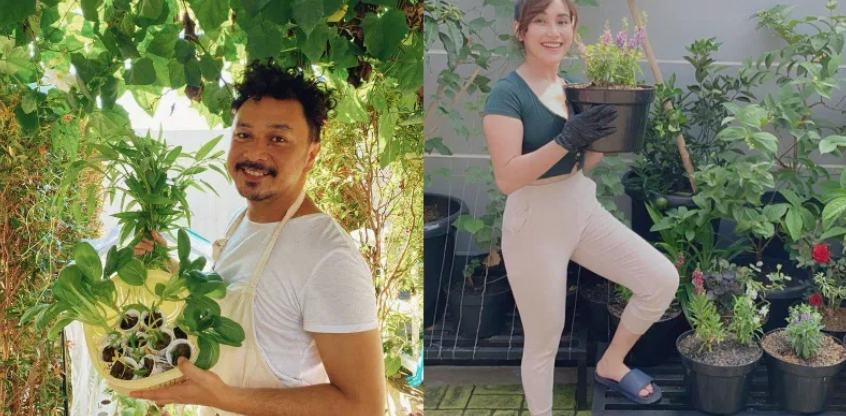 식물키우는 취미