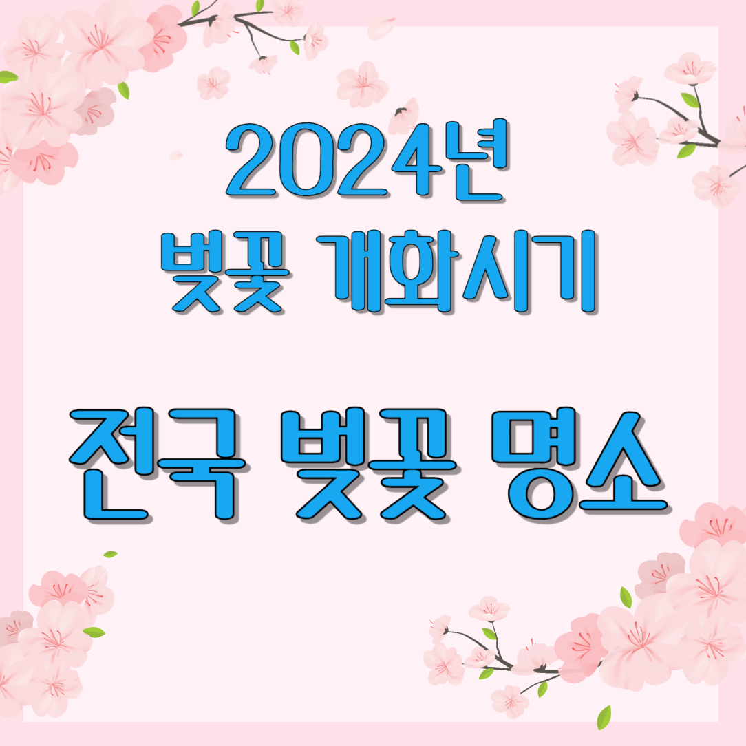 2024년 벚꽃 개화시기+ 전국 벚꽃 명소 정리