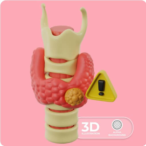 신체 부위 중 갑상선의 모습