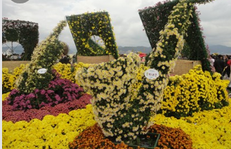 11월 단풍축제 가볼만한곳 BEST 10