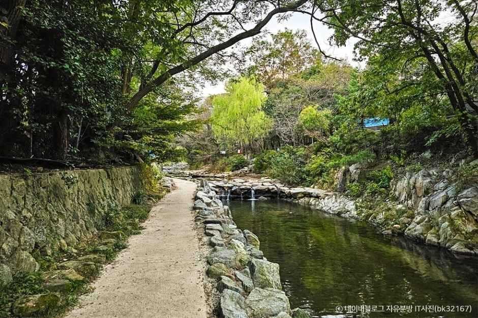 서울 계곡 추천 신림계곡