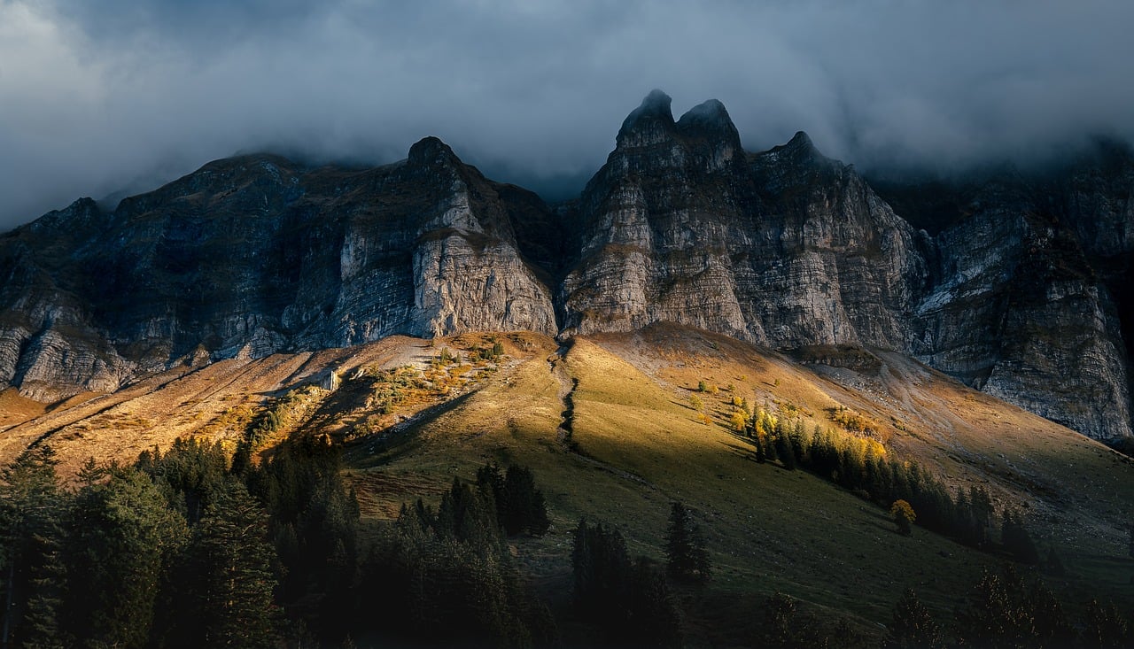 길에서 길을 묻다...