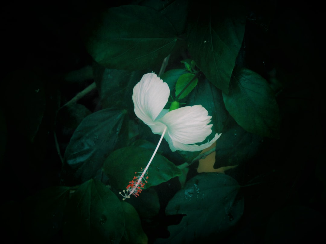 Deficiency