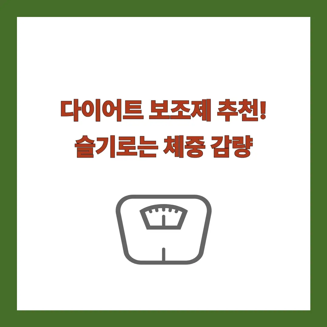 다이어트-보조제-추천