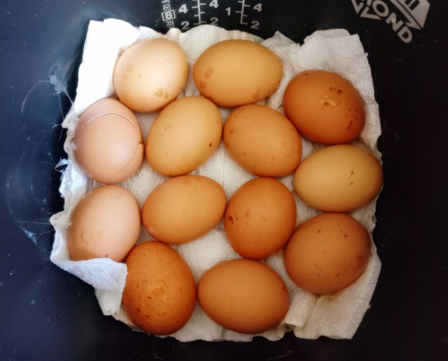 집에서 만드는 구운계란 (ft. 구운계란 유통기한)